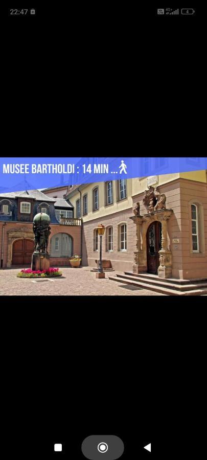 Refuge Ladhof Odysalis I Chic-Moderne-Proche Du Centre-Ville 3 Pieces 2 Chambres Colmar Exterior foto